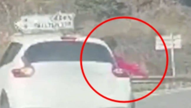 Foto: Reprodução/X