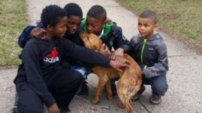 (Foto: Reprodução/portalamigocao)