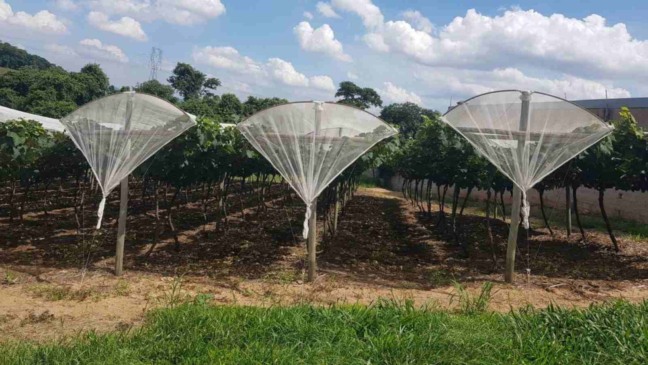 (Foto: Prefeitura de Jundiaí)