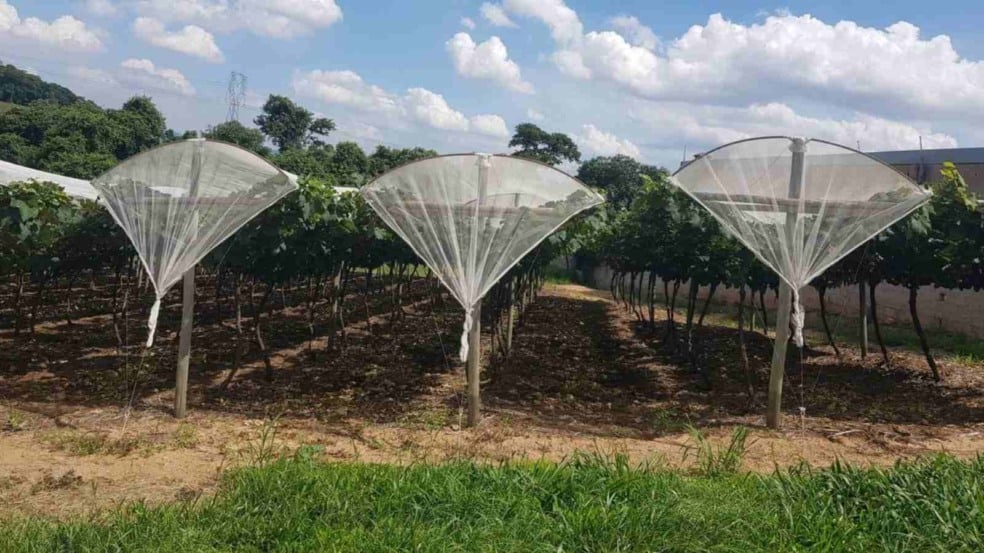 (Foto: Prefeitura de Jundiaí)