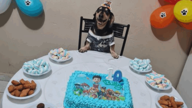 Foto: Facebook/Emyliane Marques