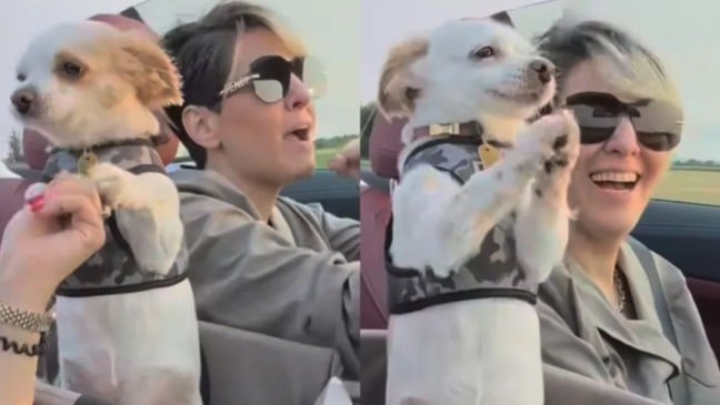 Nabaat e sua mãe no carro