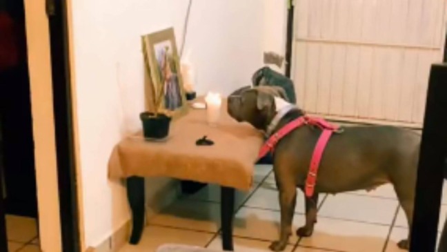 Foto: Delvia González