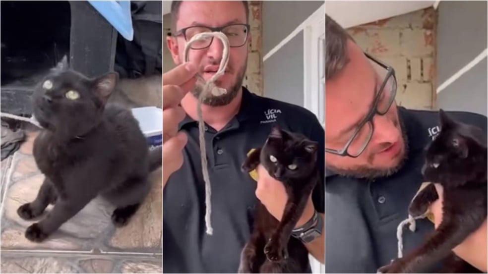 Homem resgatando gato preto