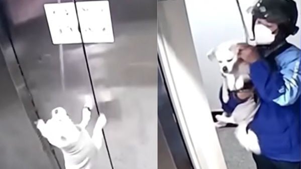 (Foto: reprodução/youtube)