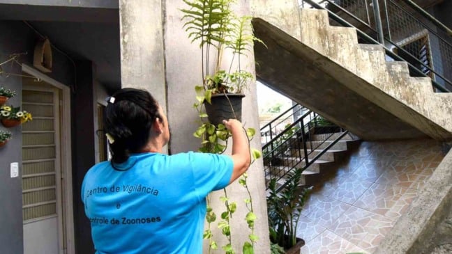 Prevenção contra dengue