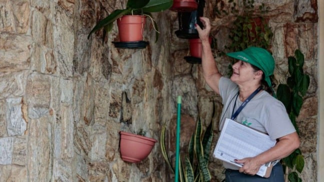 Agente contra Dengue