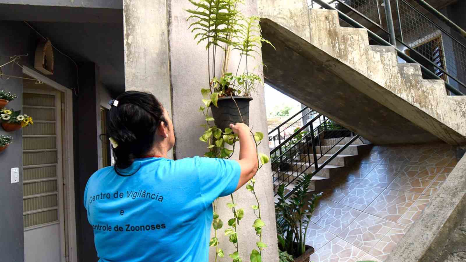 Prevenção contra dengue