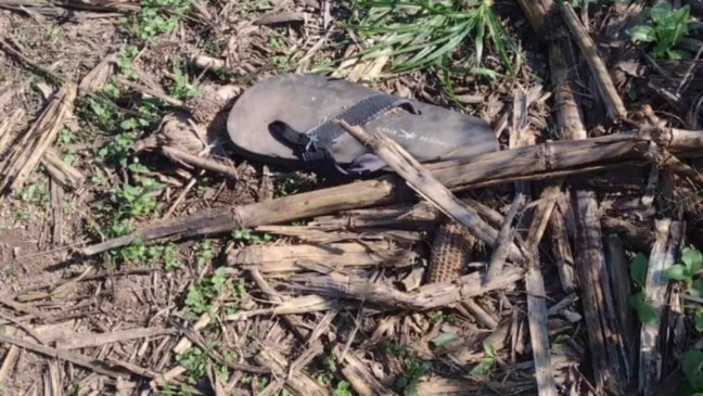 Chinelo jogado em área de mata