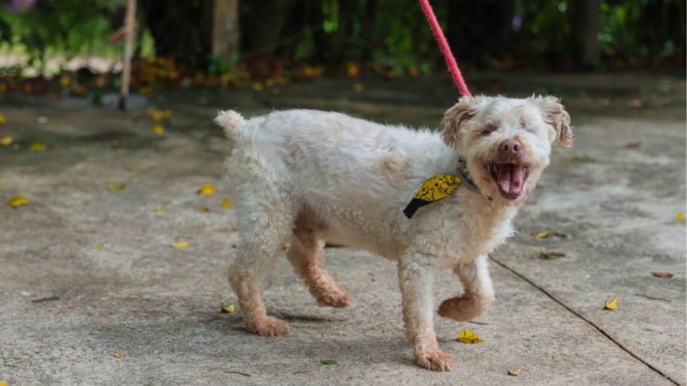 Foto: Prefeitura de Jundiaí