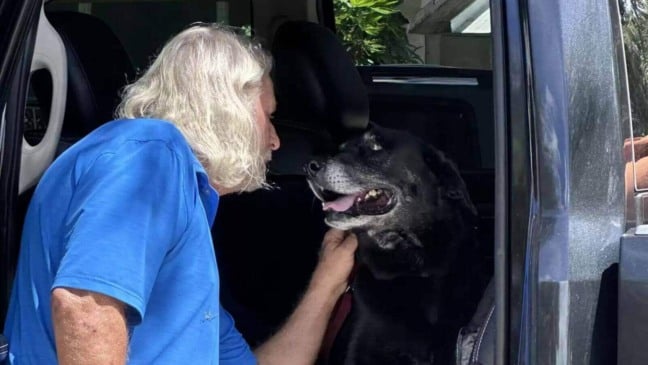 Foto: Animal Refuge Center (ARC)