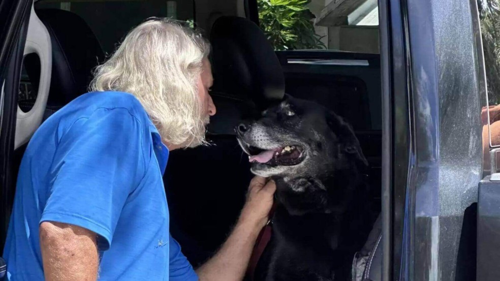 Foto: Animal Refuge Center (ARC)