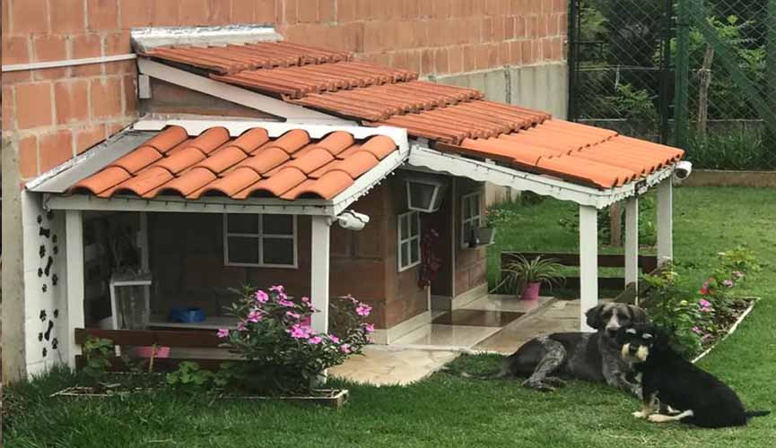 casinha de cachorros com telhado, janelas, varanda e jardim e dois cachorros deitados ao lado olhando para a foto casinha de cachorros com telhado, janelas, varanda e jardim e dois cachorros deitados ao lado olhando para a foto