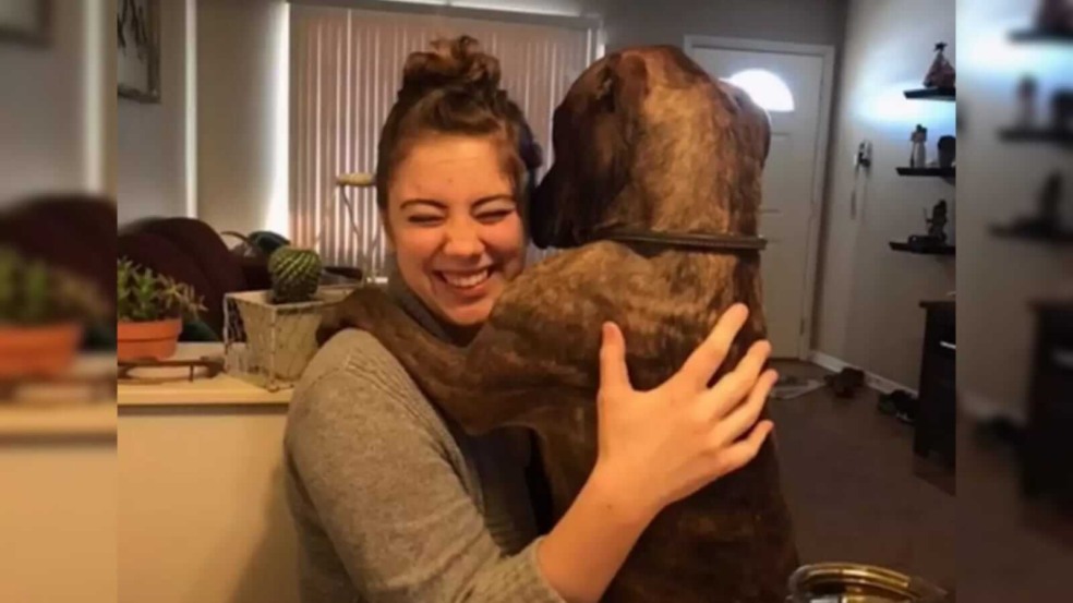 Cachorro abraçando mulher