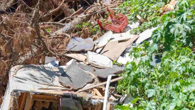 (Foto: Canva/Alex Rodrigo Brondani)