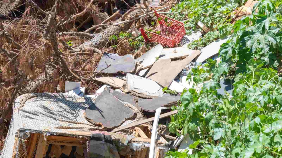 (Foto: Canva/Alex Rodrigo Brondani)