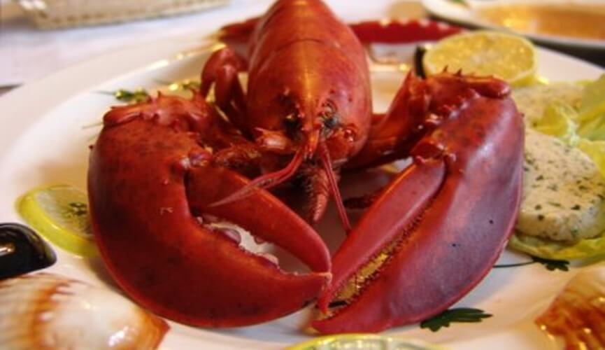 Desembargador Kassio cassa liminar e libera licitação do Supremo para compra de lagostas e vinhos