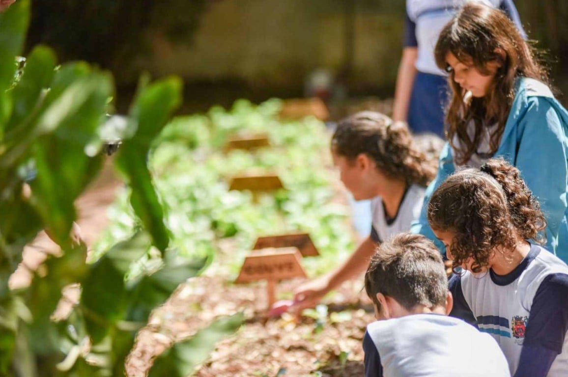 Desemparedamento é um dos conceitos que receberam investimentos dentro do Programa Escola Inovadora. Foto: Prefeitura de Jundiaí