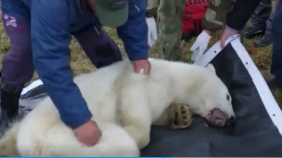 (Foto: Reprodução/Yahoo)