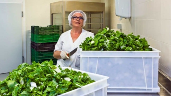 Jundiaí está com vagas para auxiliar de cozinha.