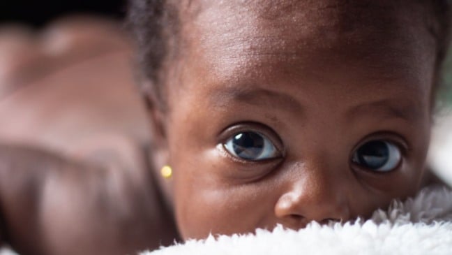 bebês da geração beta