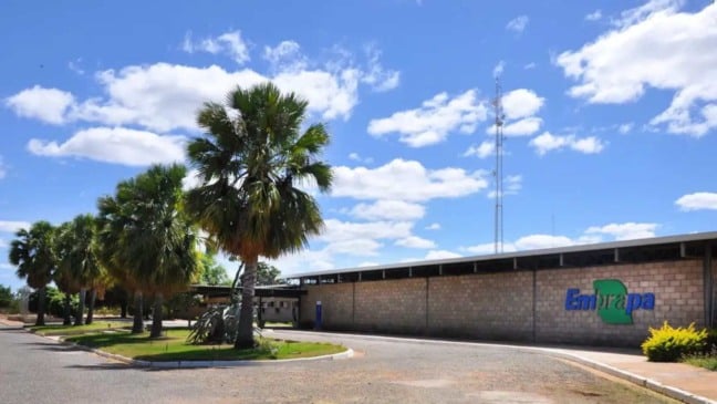 Fachada da unidade da Embrapa de Petrolina.