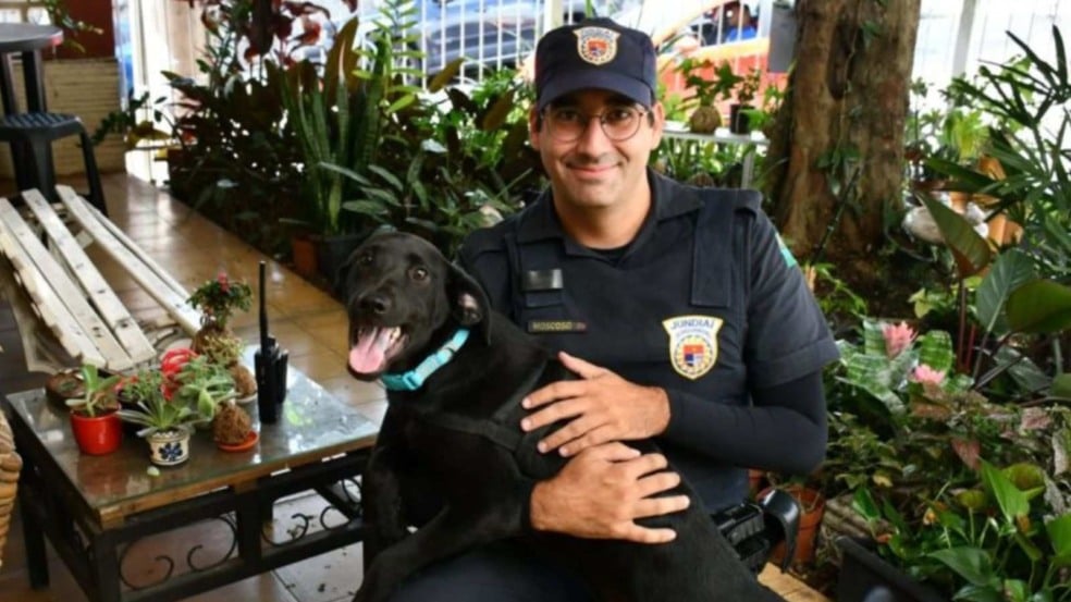 Cachorro adotado por guarda de Jundiaí.