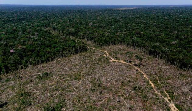 Cresce o desmatamento na Amazônia