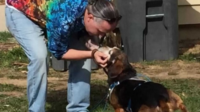 Homem cumprimentando cachorro