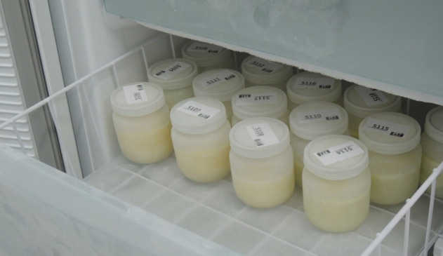 Doação de Leite Humano