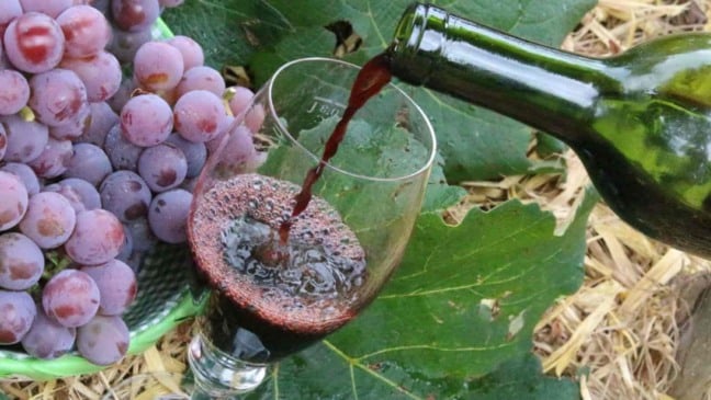 Brinde fecha as comemorações do Dia do Vinho (Foto: Prefeitura de Jundiaí)