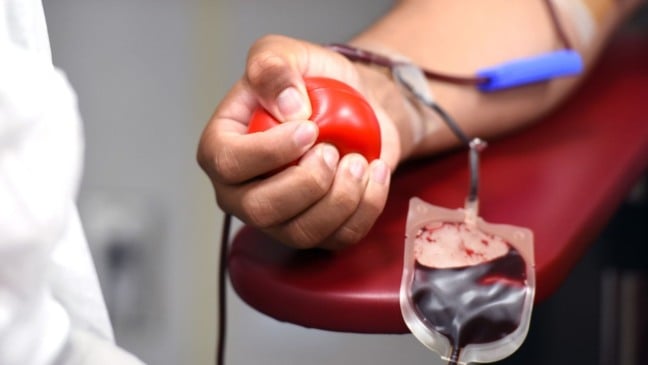 (Foto: michellegordon2/Pixabay)