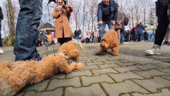 Foto: Reprodução/Facebook/Łukasz Puczko