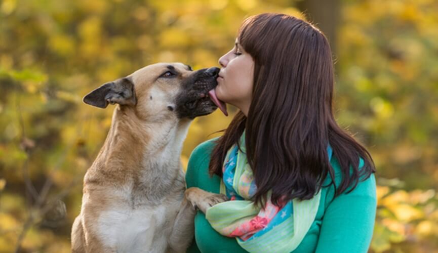 Donos de cães estão dando mais beijos nos pets do que nos parceiros, segundo pesquisa