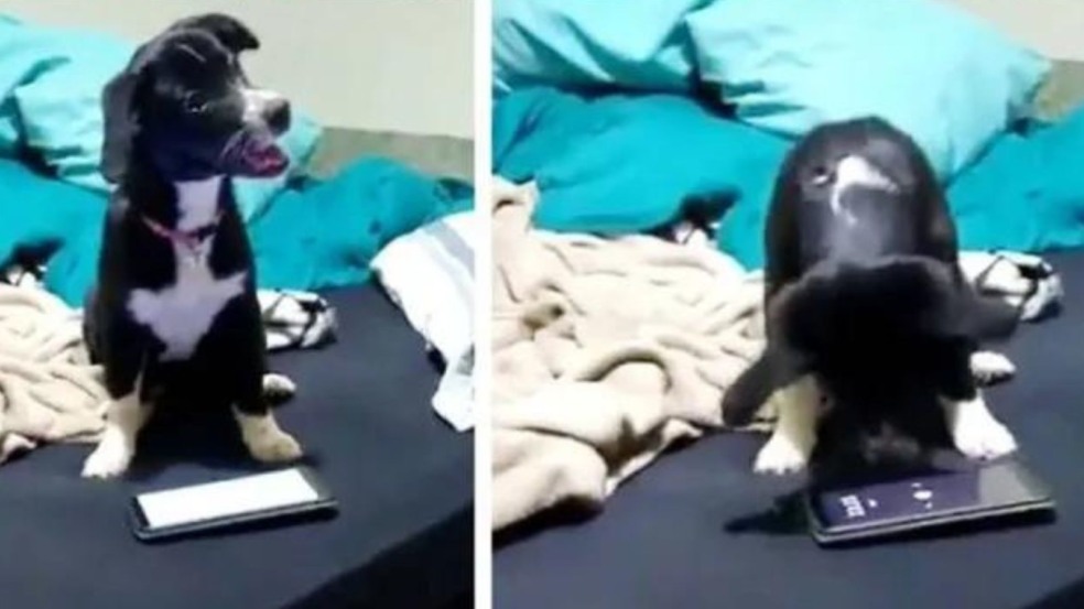 (Foto: Reprodução/Instagram @dory.amora) (Foto: Reprodução/Instagram @dory.amora)