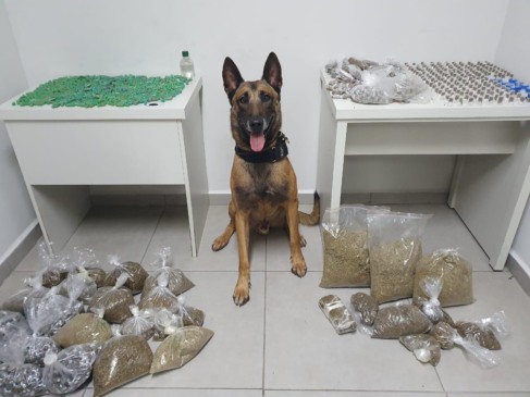 drogas canil jundiaí