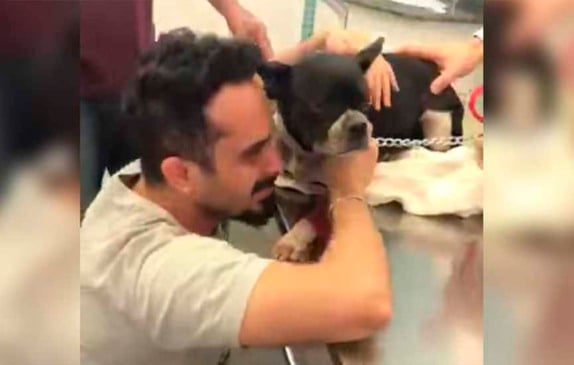 Em vídeo, dono se emociona ao reencontrar sua Buldogue Chanel desaparecida