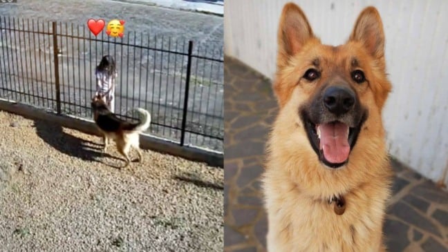 Otto e sua amiga vizinha