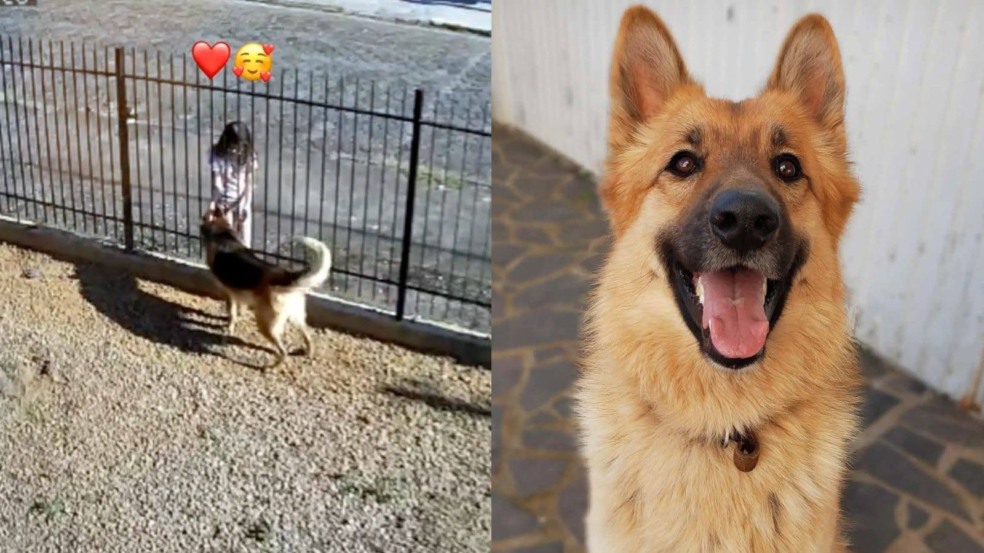 Otto e sua amiga vizinha Otto e sua amiga vizinha