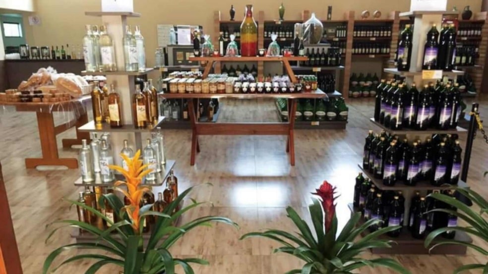 Foto: Prefeitura de Jundiaí