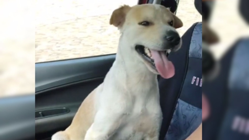 Foto: Reprodução/TikTok