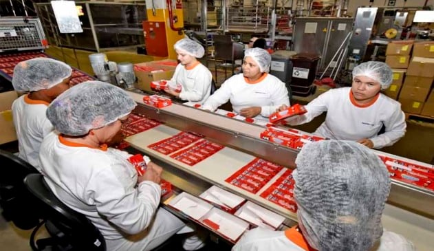 mulheres trabalhando em industria