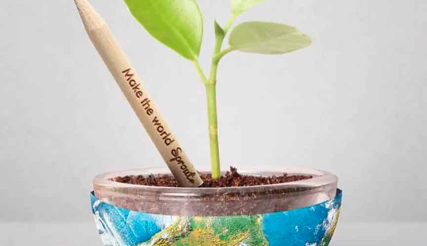 Empresa cria lápis que, depois de usado, vira uma planta