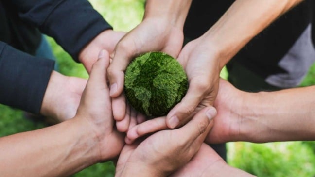 Pessoas segurando planeja verde