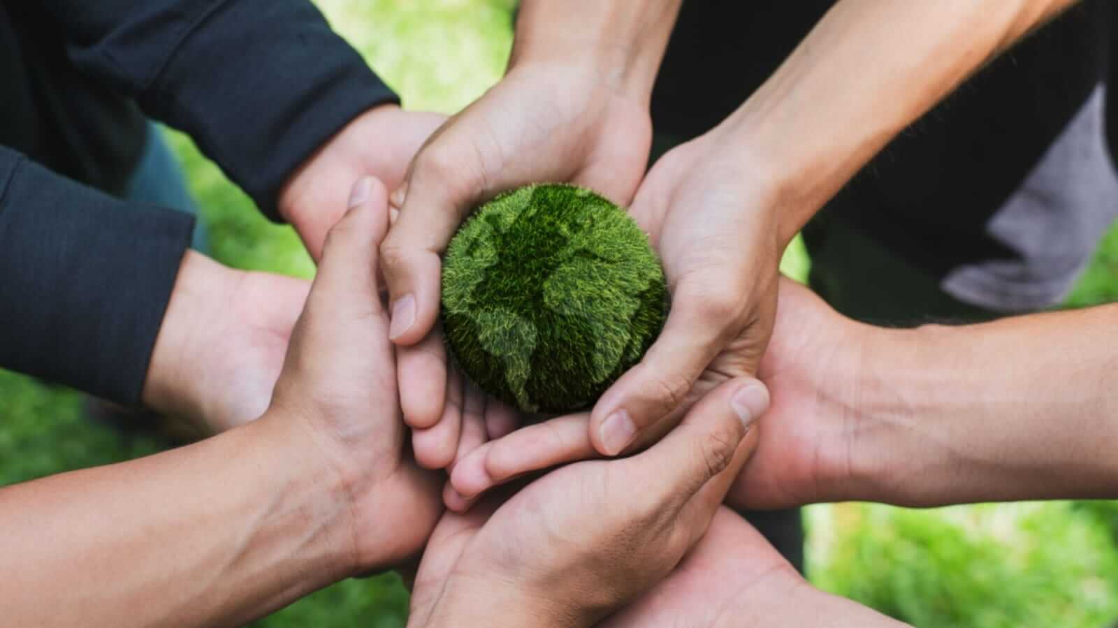 Pessoas segurando planeja verde