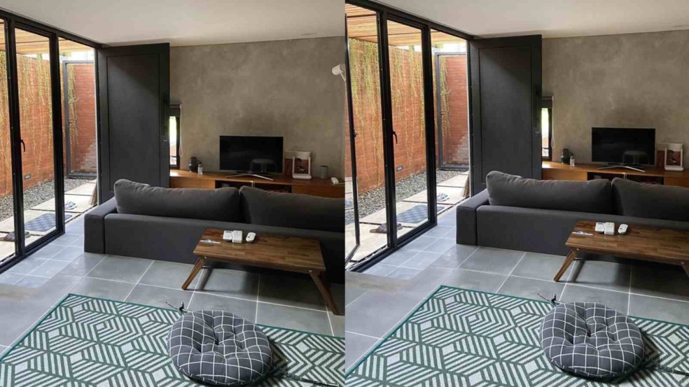 (Foto: Reprodução/Instagram @thereirnocat_)