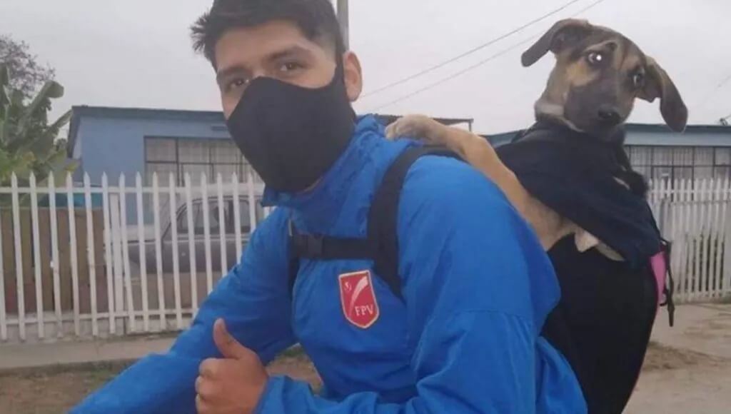 Homem com cachorro nas costas