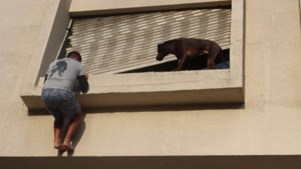 Entregador resgata cachorro Entregador resgata cachorro