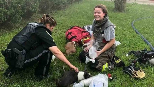 (Foto: Reprodução/ Facebook | Columbia County Fire Rescue)