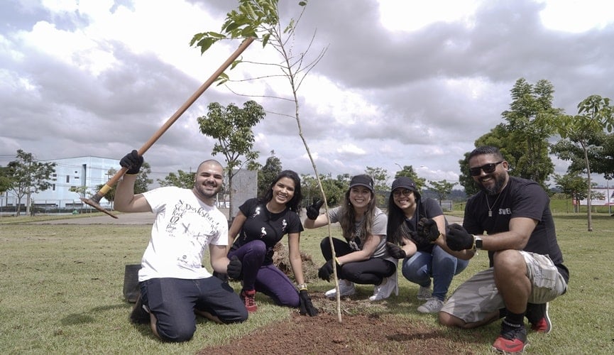 Foto de pessoas plantando árvores Foto de pessoas plantando árvores
